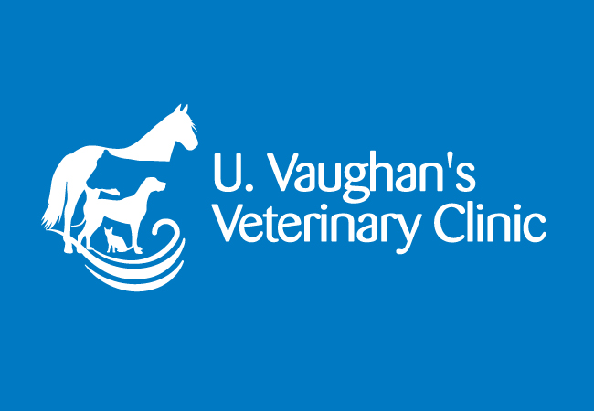Seaview Veterinary Clinic